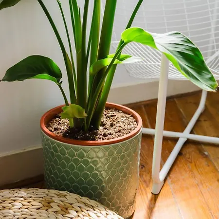 Scenic 4br With River Views Alfama Location Lägenhet Lisboa